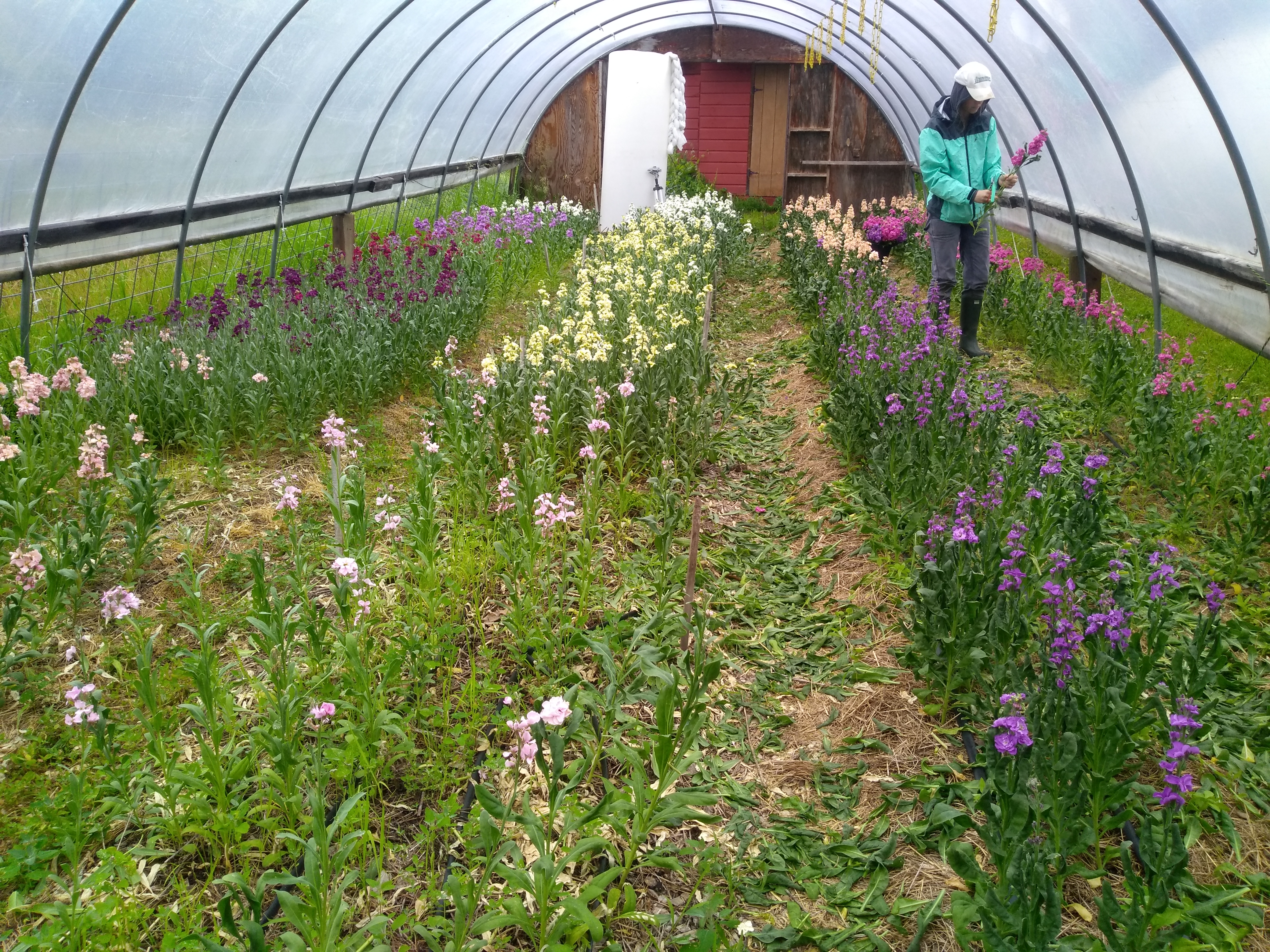 IMG_20190613_110156075